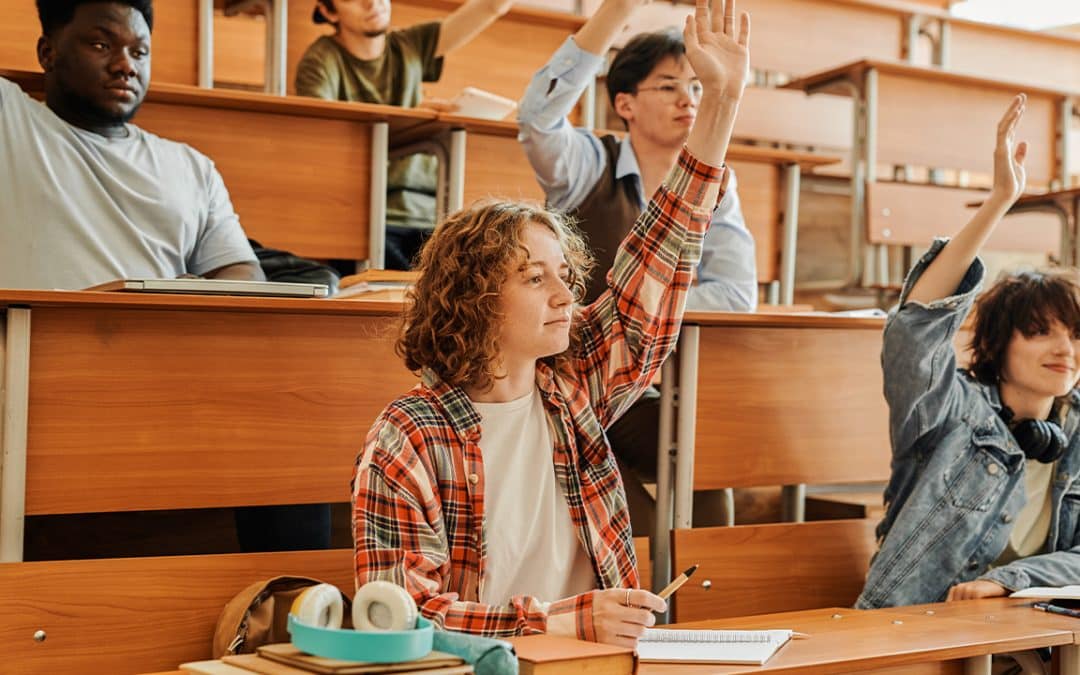 How do I write a contrast essay with clear differences?